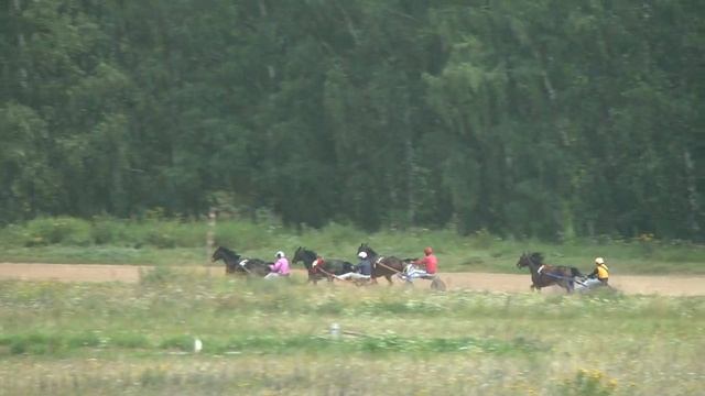 Нижегородский ипподром. Большой Нижегородский приз (дерби). 1 гит. 26.07.2015 смотреть онлайн