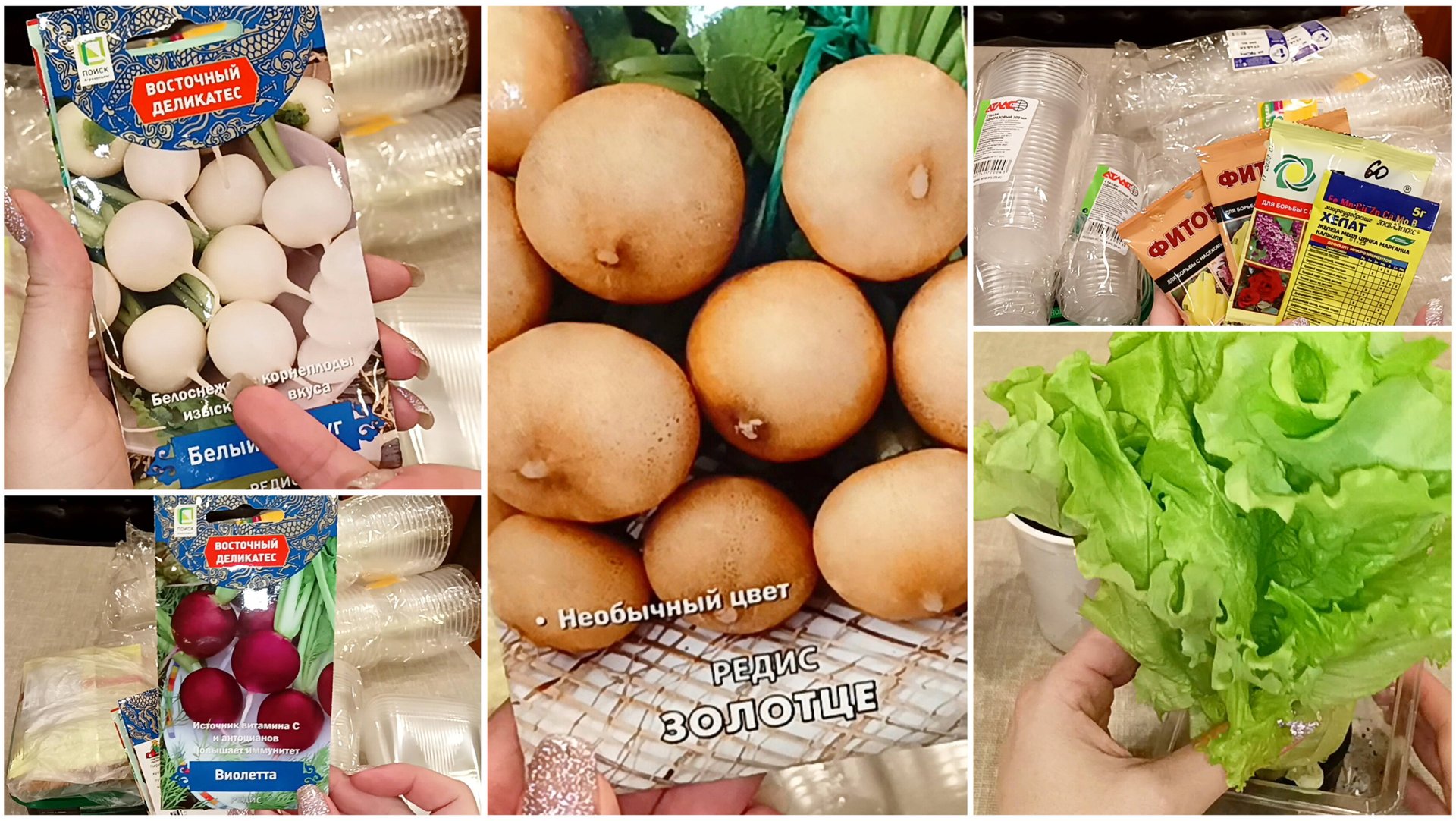 Семена необычного редиса.Нужные покупки.Почему я не делала этого раньше!? Витамины на окне. смотреть онлайн