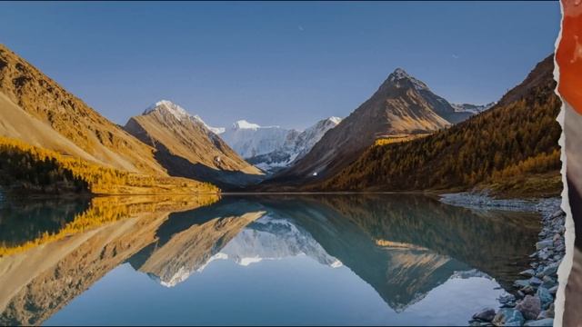 Переговоры, Илон Маск сошёл с ума, повесточка закончилась смотреть онлайн