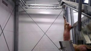 Автоматическая линия убоя, 60 свиней в час