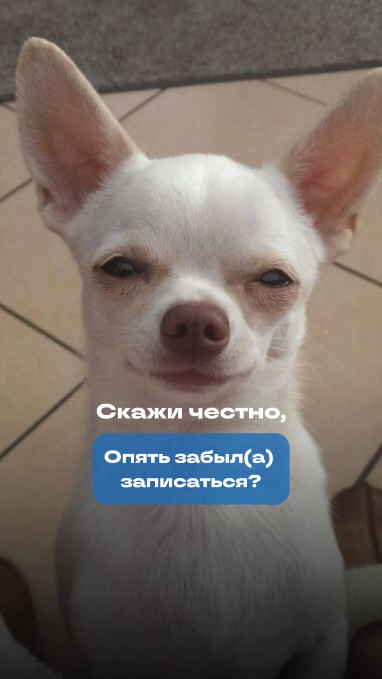 Всегда ждем! смотреть онлайн