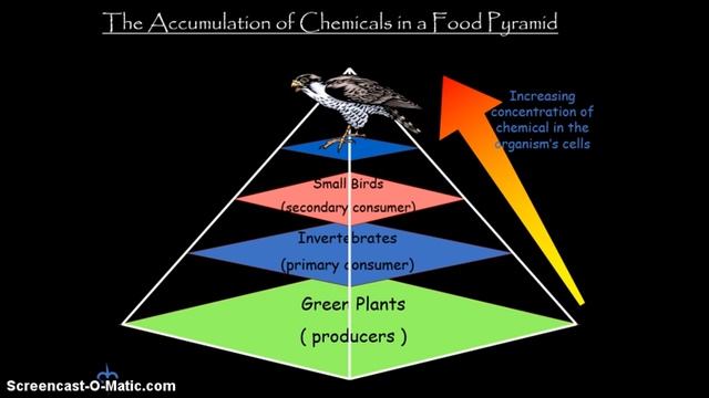 H Biology Unit 3 Part 11 Crop Protection by Chemical Means смотреть онлайн