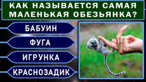 Только ЭРУДИТ и ВСЕЗНАЙКА осилит хотя бы 5 из 20 вопросов! Интересный тест на эрудицию