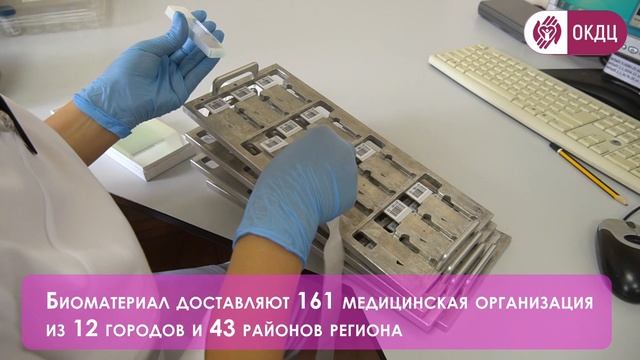 ГАУ РО «Областной консультативно-диагностический центр» смотреть онлайн