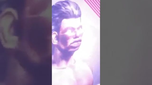 SHEMALE EXTRAVAGANZA!!!