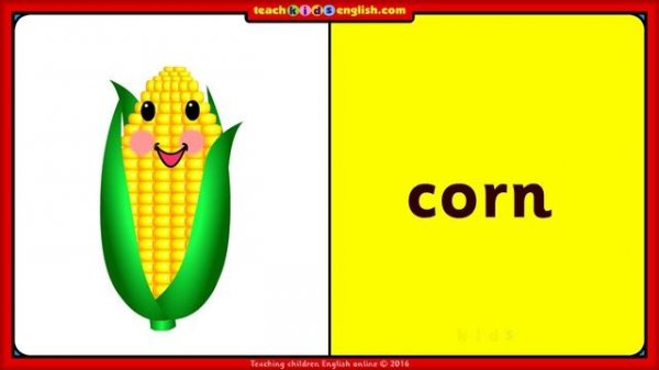 14 Vegetable flash cards