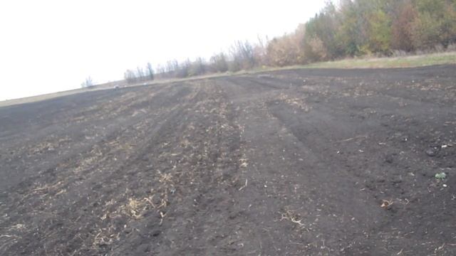 Сеем семена чеснок (воздушную бульбочку) ручной сеялкой.Пробуем самодельное приспособление. смотреть онлайн