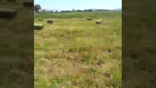 полипропиленовый сеновязальный шпагат *ULY DALA* смотреть онлайн