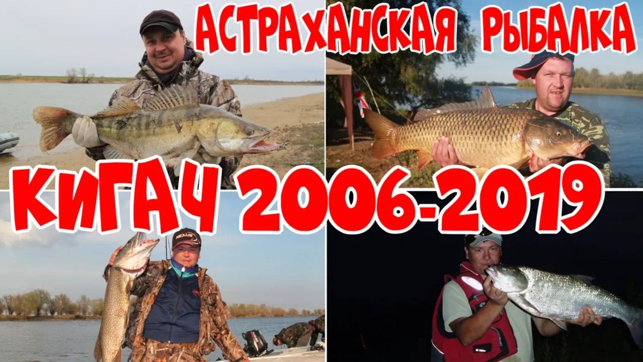 КИГАЧ 2006 - 2019