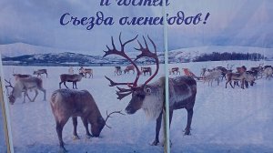 20-03-2025 Якутск,озеро Сайсары.Слет оленеводов. Оленьи гонки .