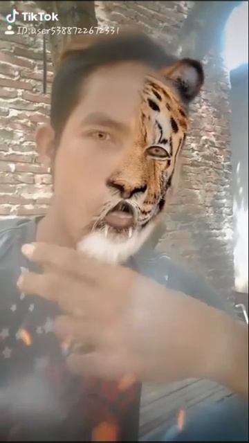 Manusia harimau смотреть онлайн