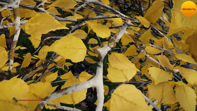 Прохождение Элекс 2. Пропавший торговец клириков смотреть онлайн