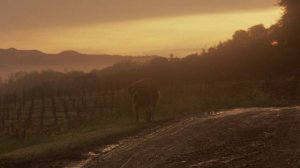 Величайшие ужасы 2 сезон 1 серия «Атаки животных» (документальный сериал, 2024)