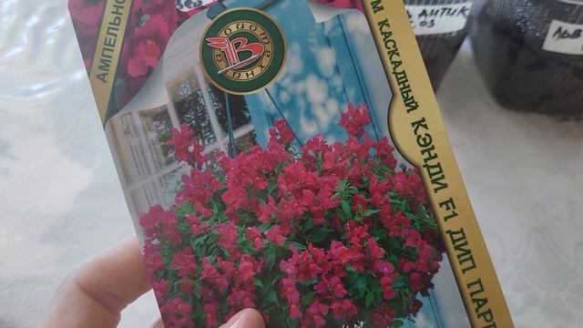 СЕЮ ЛЬВИНЫЙ ЗЕВ ТОЛЬКО ТАК! ОН ЗАМЕНИТ ПЕТУНИЮ! смотреть онлайн