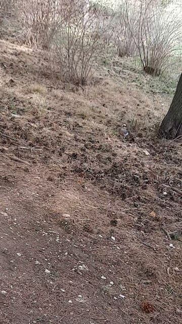 2021-04-15 14-59-49 смотреть онлайн