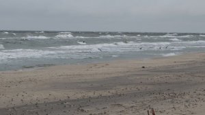 4K-видеосъёмка на перископический зум Xiaomi 15 Ultra