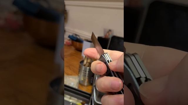 Petrified Fish Cash Knife / Money Clip • quick overview and initial impressions смотреть онлайн