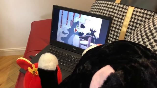 40. Confucius says Tom and Jerry смотреть онлайн