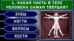 У вас Восхитительный Ум, если Сумеете Ответить Верно на 8 из 15 вопросов Теста на Эрудицию!