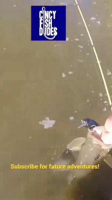 Big SMALLMOUTH BASS in a Tiny Creek! #Shorts смотреть онлайн
