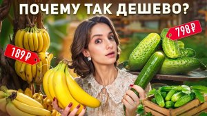 ВОТ ПОЧЕМУ бананы из-за океана ДЕШЕВЛЕ российских продуктов