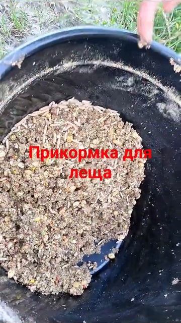 Прикормка на леща #лещ смотреть онлайн