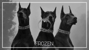 Madonna, Sickick - Frozen (Slowed + Reverb) #madonna #sickick #sickickmusic