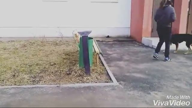 Чарли прыгун ) смотреть онлайн