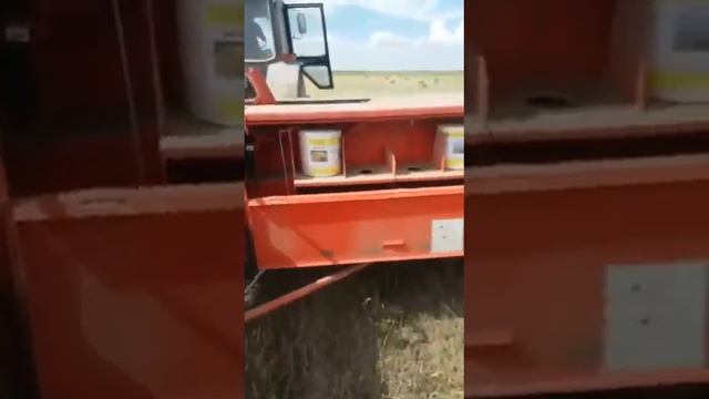 Шпагат КазПолиСнаб на Польском пресс подборщике смотреть онлайн