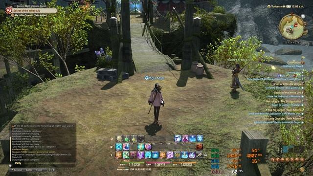 FINAL FANTASY XIV Online - смотрю игру.