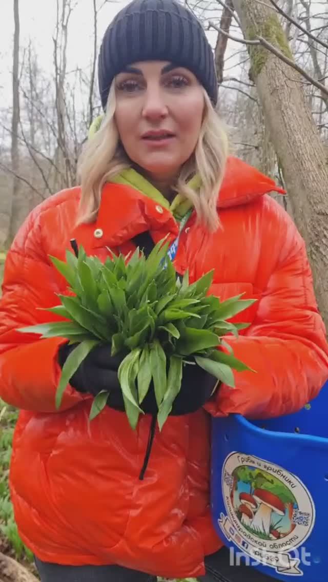 пирожки с ЧЕРЕМШОЙ, готовим дома, рецепты ГРИБНИКОВ из леса смотреть онлайн