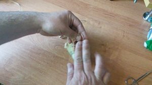 Как вылечить шпагат у гусят .