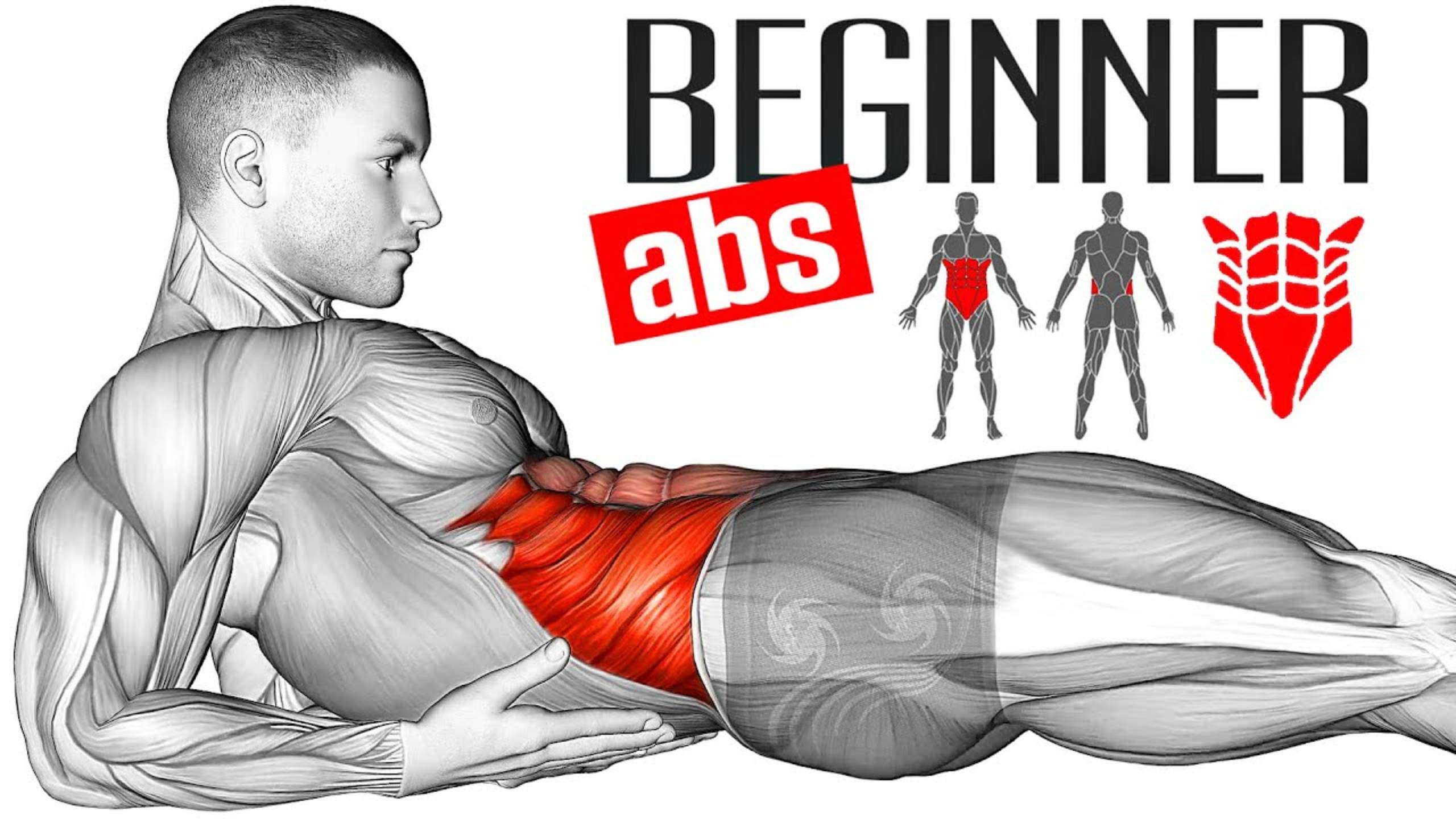 5 лучших Упражнений на Пресс для начинающих