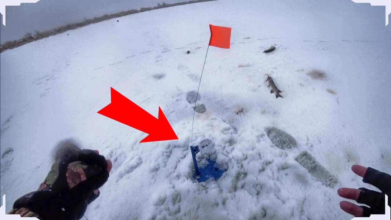 ЭТА ЖЕРЛИЦА СРАБАТЫВАЛА РАЗ ЗА РАЗОМ! Жерлицы в марте