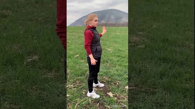 Корицкая Диана Александровна смотреть онлайн