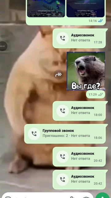 Пранк над другом