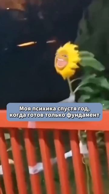 #ярославль #строительство #ремонт #современныйдом #проект #топ #юмор смотреть онлайн