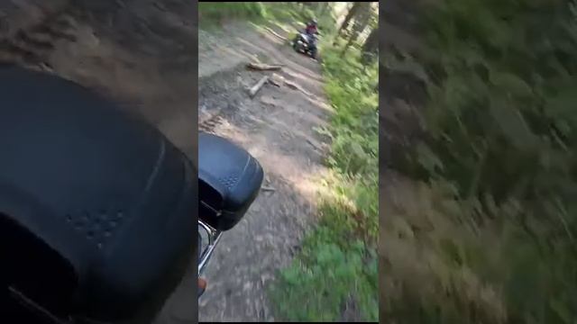 катаемся с папой в лесу смотреть онлайн
