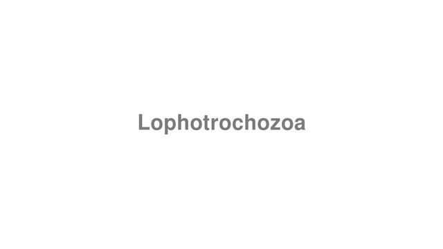 How to Pronounce "Lophotrochozoa" смотреть онлайн