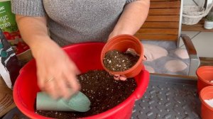 ГАЦАНИЯ ВЗОШЛА, ЧТО ДЕЛАТЬ ДАЛЬШЕ!