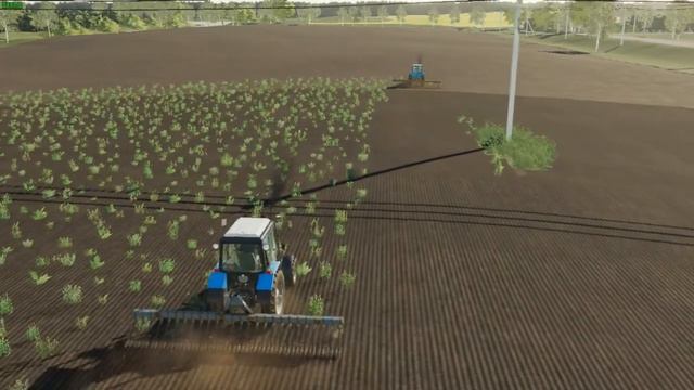 #ФС19 РАСВЕТ УБОРКА СОРНЯКУ  FarmingSimulator19