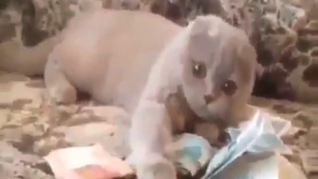 Своё производства смотреть онлайн