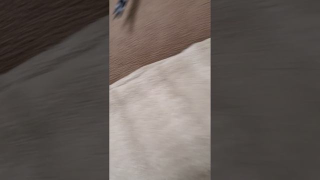 улучшая аниматроников