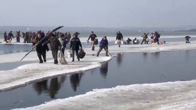 Рыбак спасся смотреть онлайн