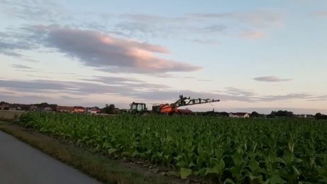 Deutschlands älteste Tabakanbauort. Старейшее в Германии место выращивания табака. смотреть онлайн