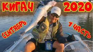 АСТРАХАНСКАЯ РЫБАЛКА. КИГАЧ 2020 СЕНТЯБРЬ.