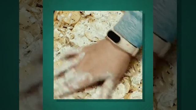 Картофель запечённый с мясом в сметаном соусе)