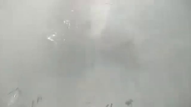 Брат поймал акулу. смотреть онлайн