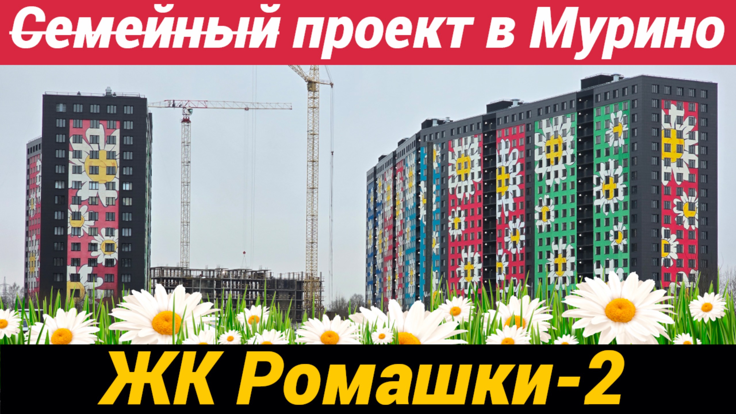 ЖК Ромашки 2 НЕСемейный проект в Мурино смотреть онлайн