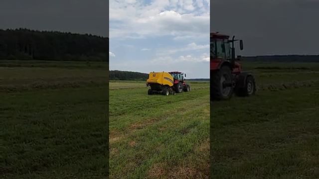 New Holland RB 150 прессует сено в шпагат #агрономия #сено #заготовкакормов смотреть онлайн